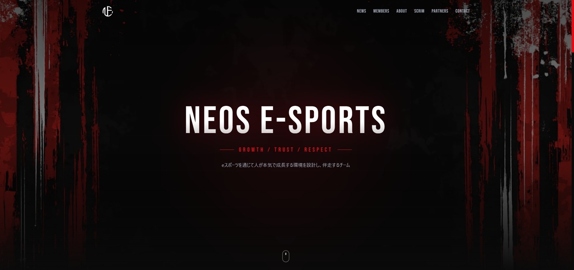 Official Website Launch